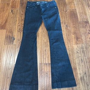 Express Stella Regular Fit Low Rose Flare Jeans